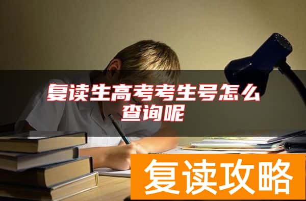 复读生高考考生号怎么查询呢